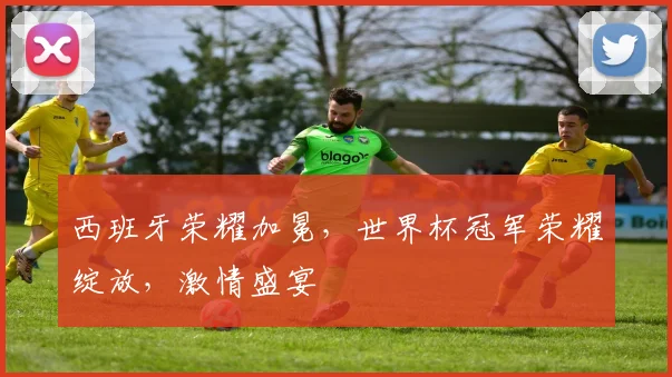 西班牙荣耀加冕，世界杯冠军荣耀绽放，激情盛宴