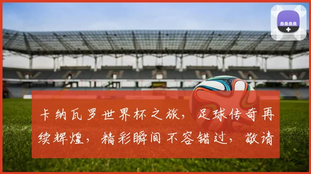 卡纳瓦罗世界杯之旅，足球传奇再续辉煌，精彩瞬间不容错过，敬请期待
