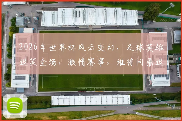 2026年世界杯风云变幻，足球英雄逗笑全场，激情赛事，谁将问鼎逗乐冠军