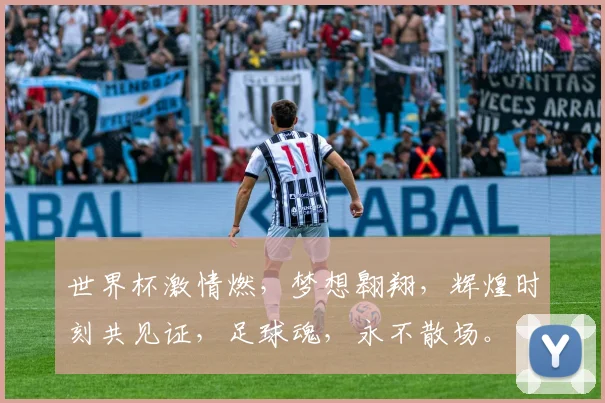 世界杯激情燃，梦想翱翔，辉煌时刻共见证，足球魂，永不散场。