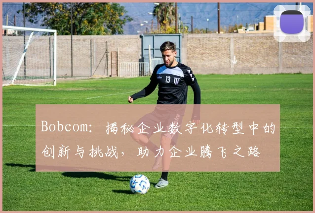 Bobcom：揭秘企业数字化转型中的创新与挑战，助力企业腾飞之路